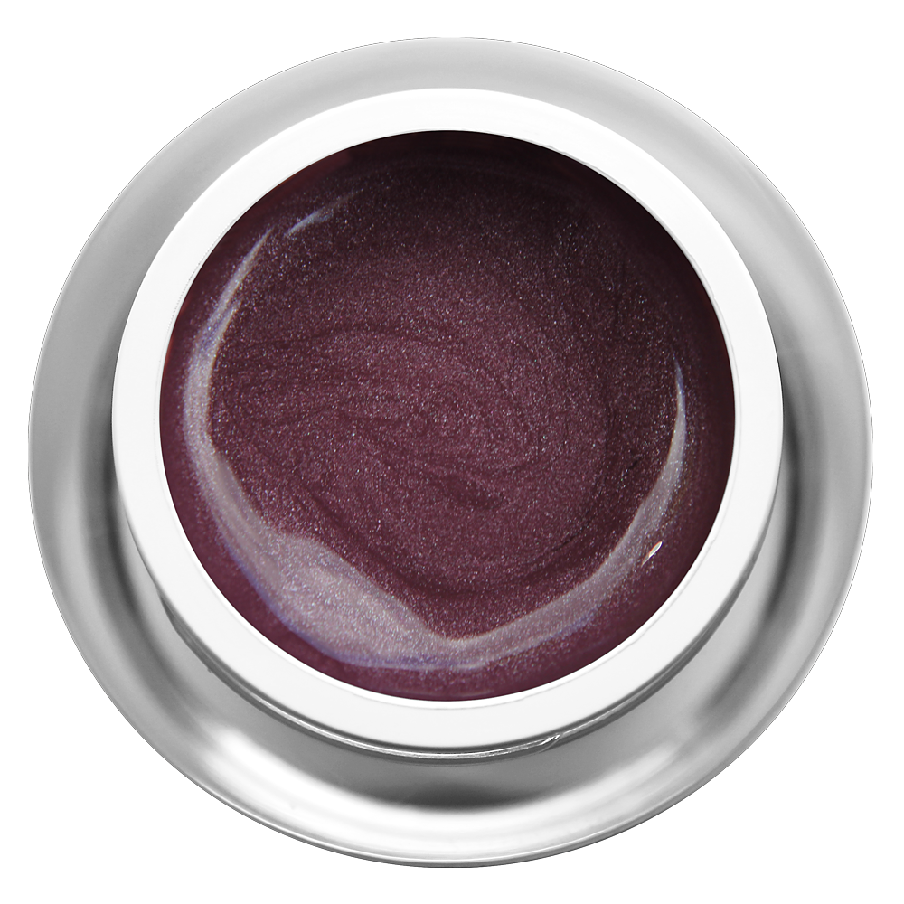 Farbgel - Feenstaub Aubergine