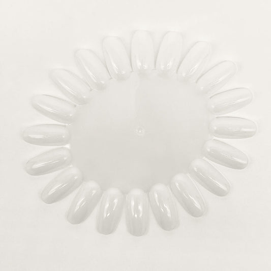 10x Präsentationsdisplays Farbrad Tip-Rondel- Natur