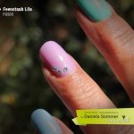 Farbgel Feenstaub Lila