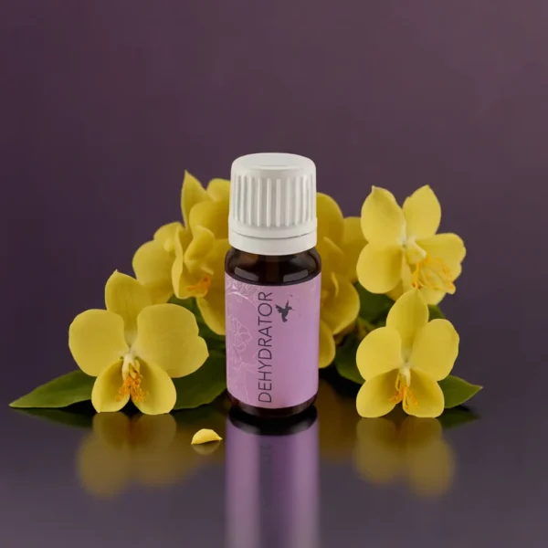 Dehydrator - 10 ml – sommernail