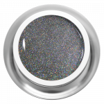 Farbgel - Rainbow Silver