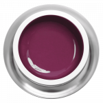 Farbgel Pure Berry