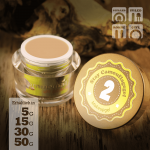 Stay - Camouflage Gel - 2 (mittel) – sommernail